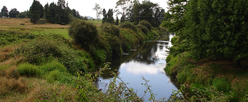 DSC01684-Mokau-River-Resize.jpg
