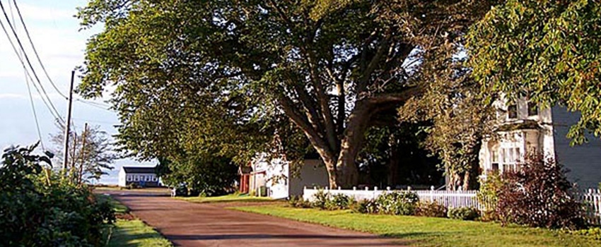 RussellLookingSouth-Resize.jpg