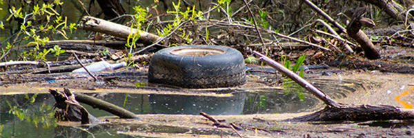 Current ground water during sea level rise