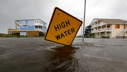 avoid rising seas